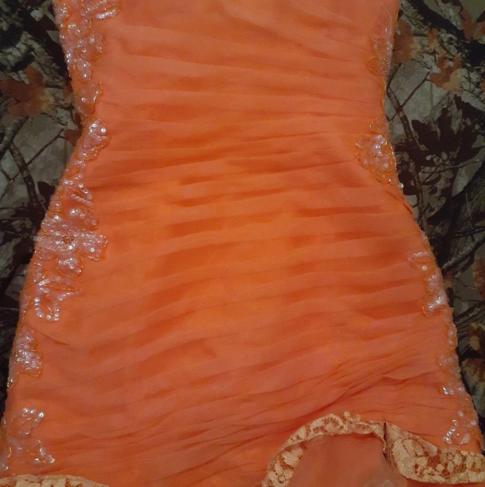Tiffany prom dress